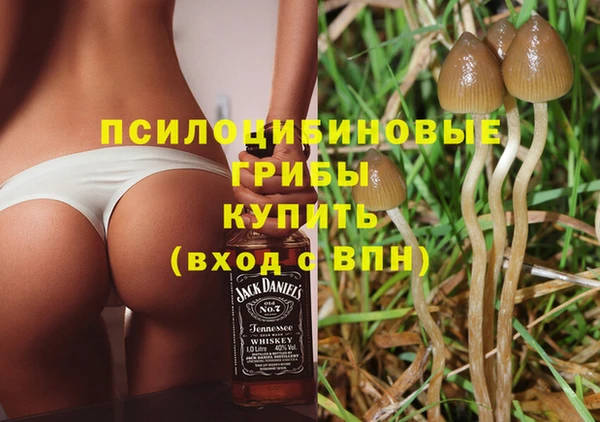 стафф Оленегорск