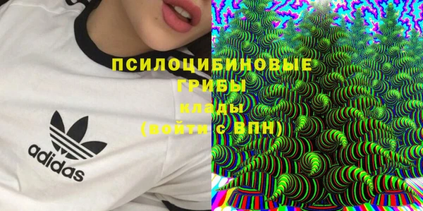 а пвп мука Армянск