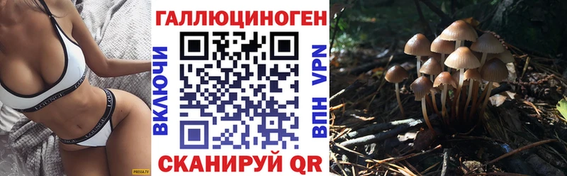 дарк нет состав  Порхов  Галлюциногенные грибы прущие грибы 